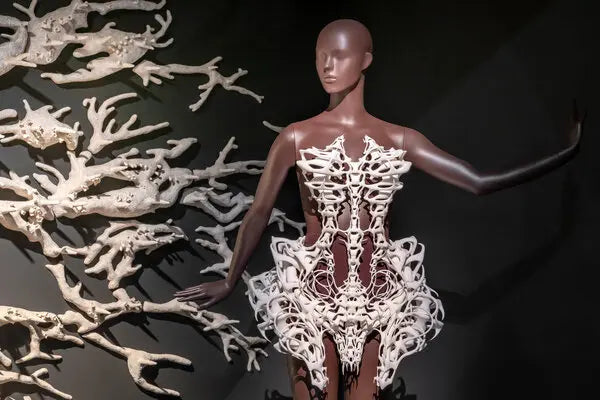"Skeleton" dress designed by Iris van Herpen, 2011