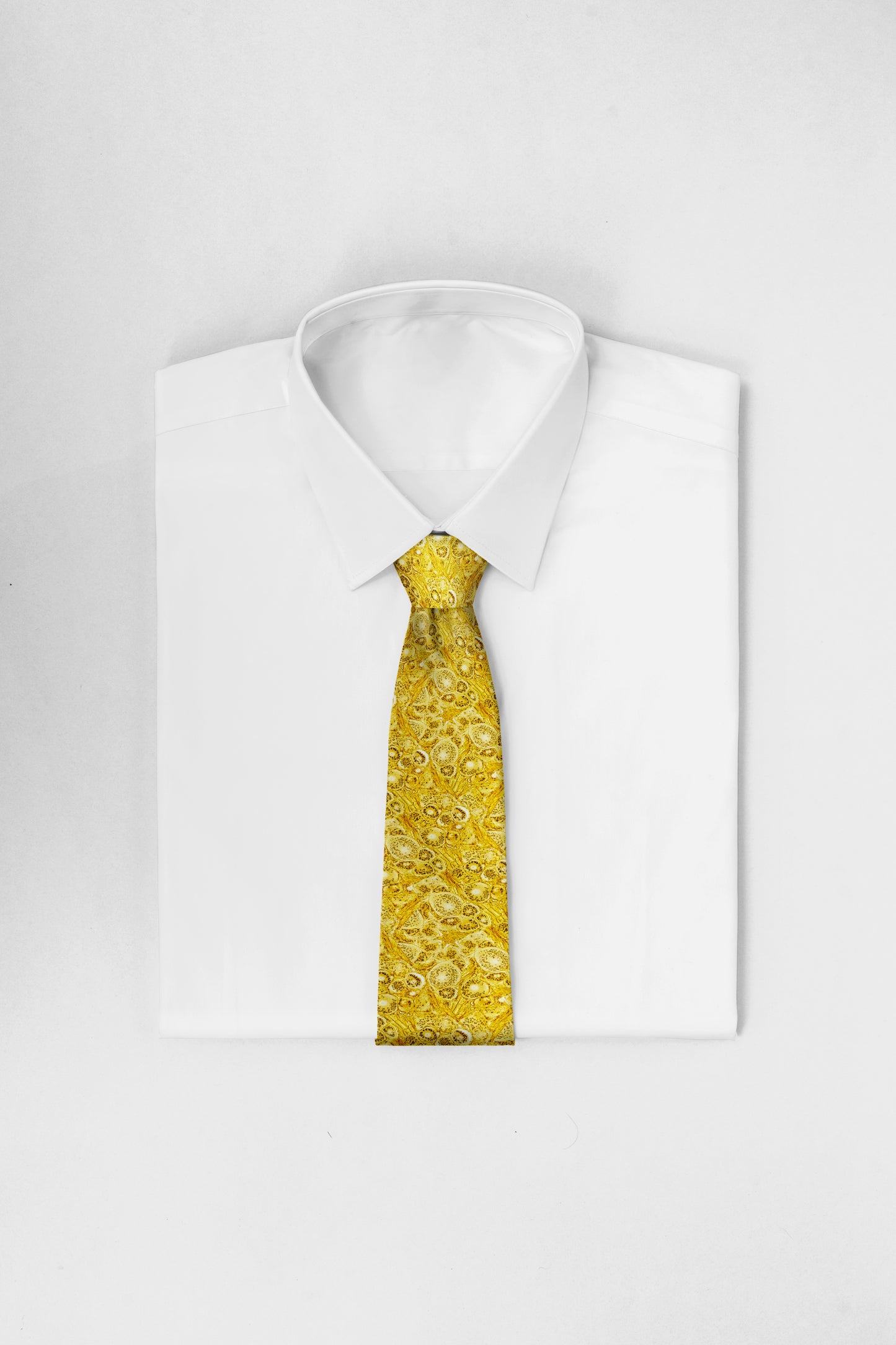 Beauty and Brains Tie